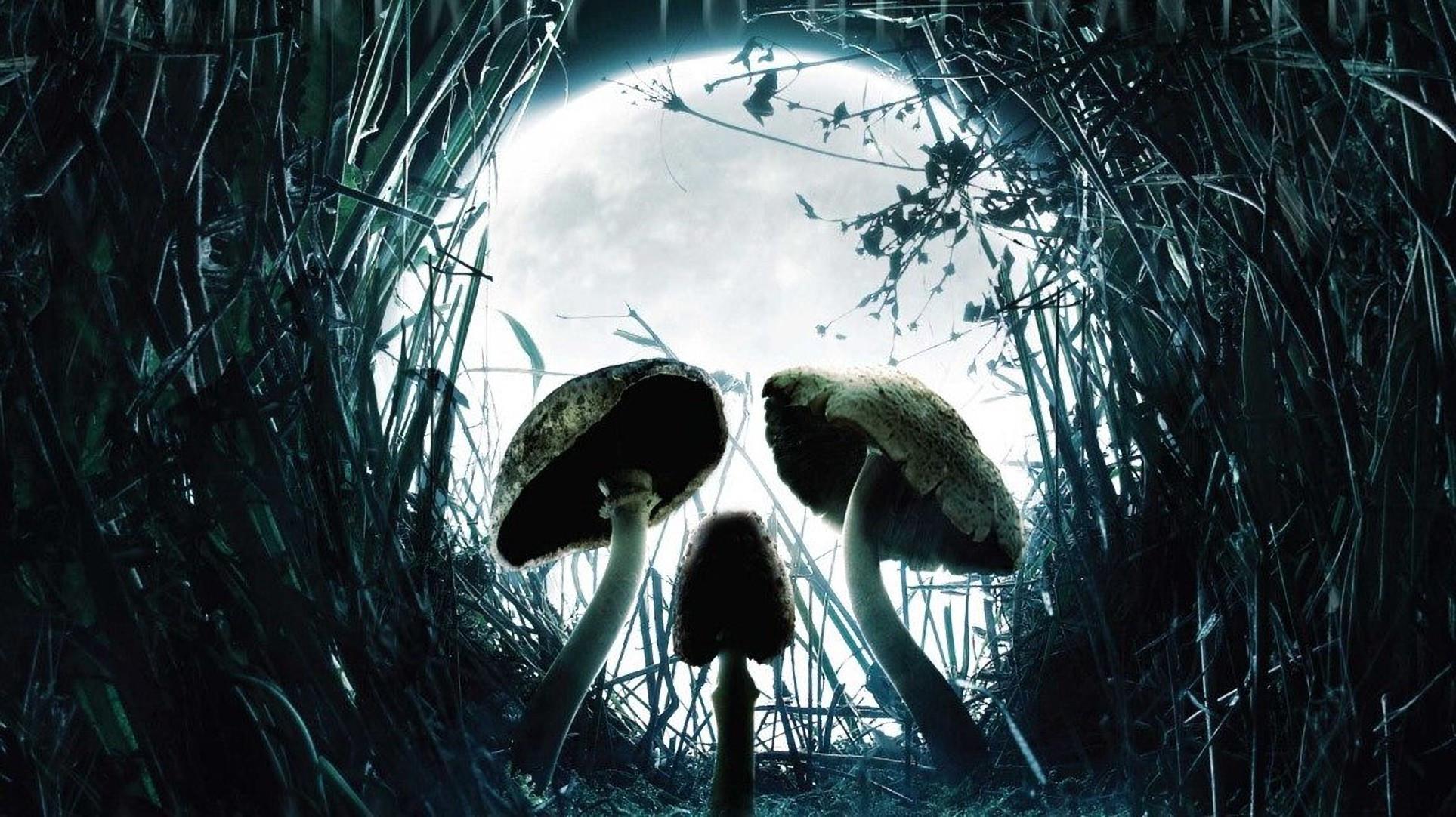 Shrooms 2007 movie scene