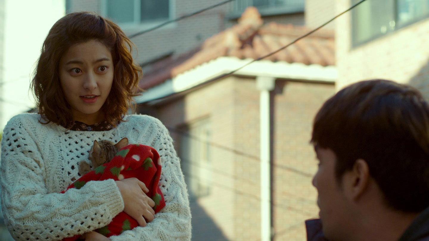 Cat Funeral 2015 movie scene