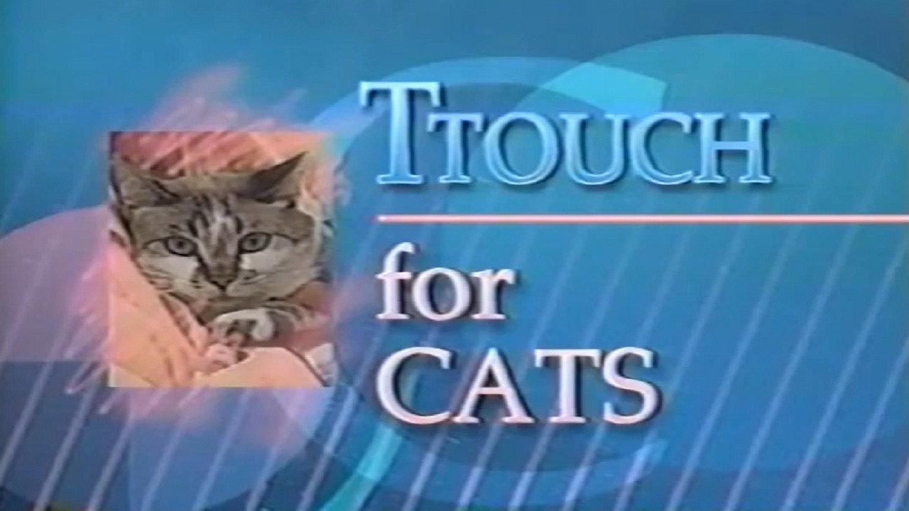 A TTouch of Magic for Cats 1994 movie scene
