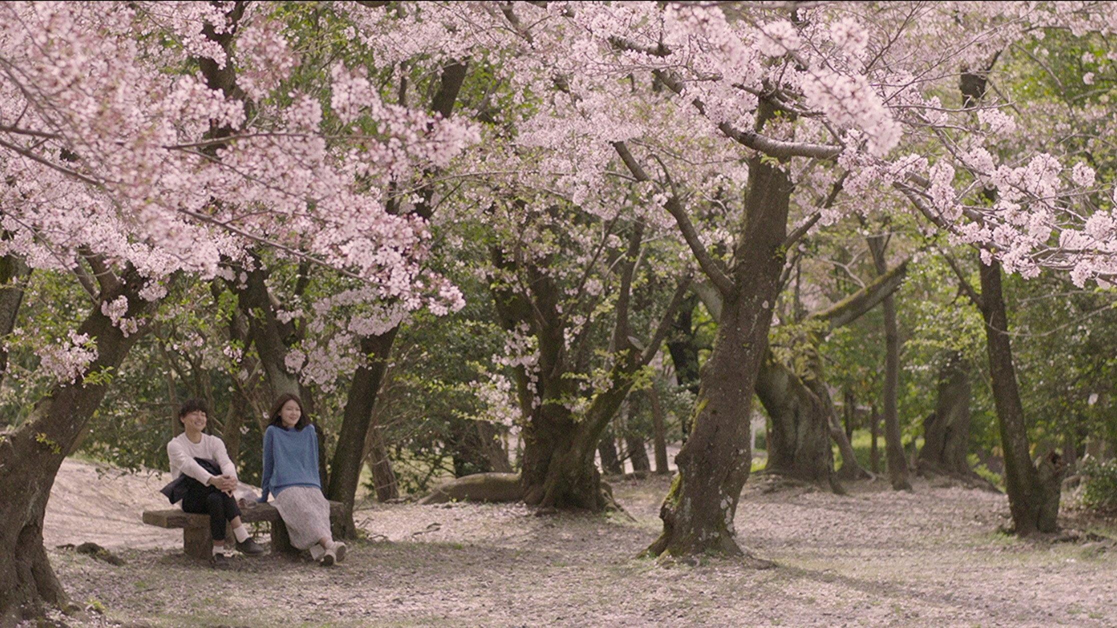 Memories of a Dead End 2019 movie scene