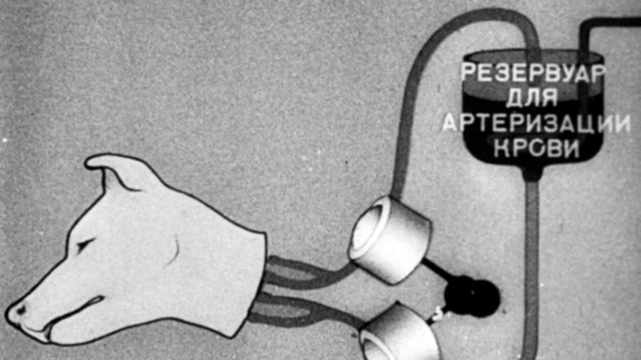 Experiments in the Revival of Organisms 1940 movie scene