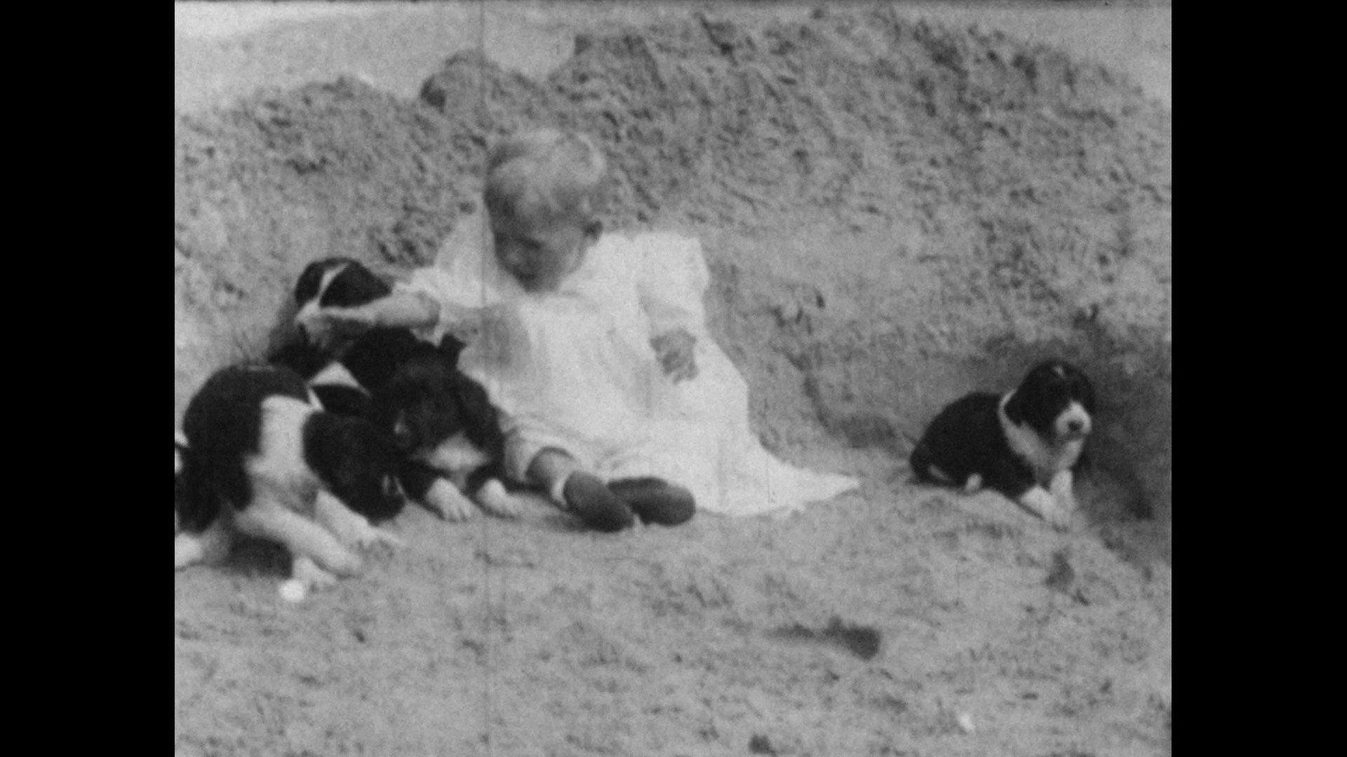 Wonder Dogs! Canine Stars of the Silent Era (1898-1928) 2025 movie scene