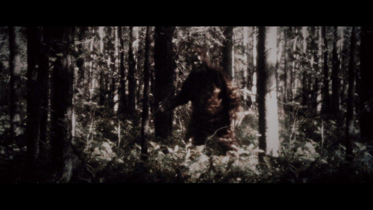 Secrets of the Sasquatch 2022 movie scene