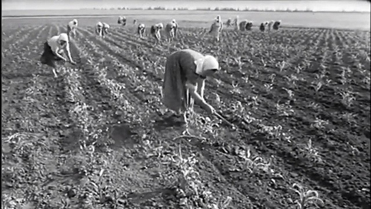 Declaration of Love 1966 movie scene