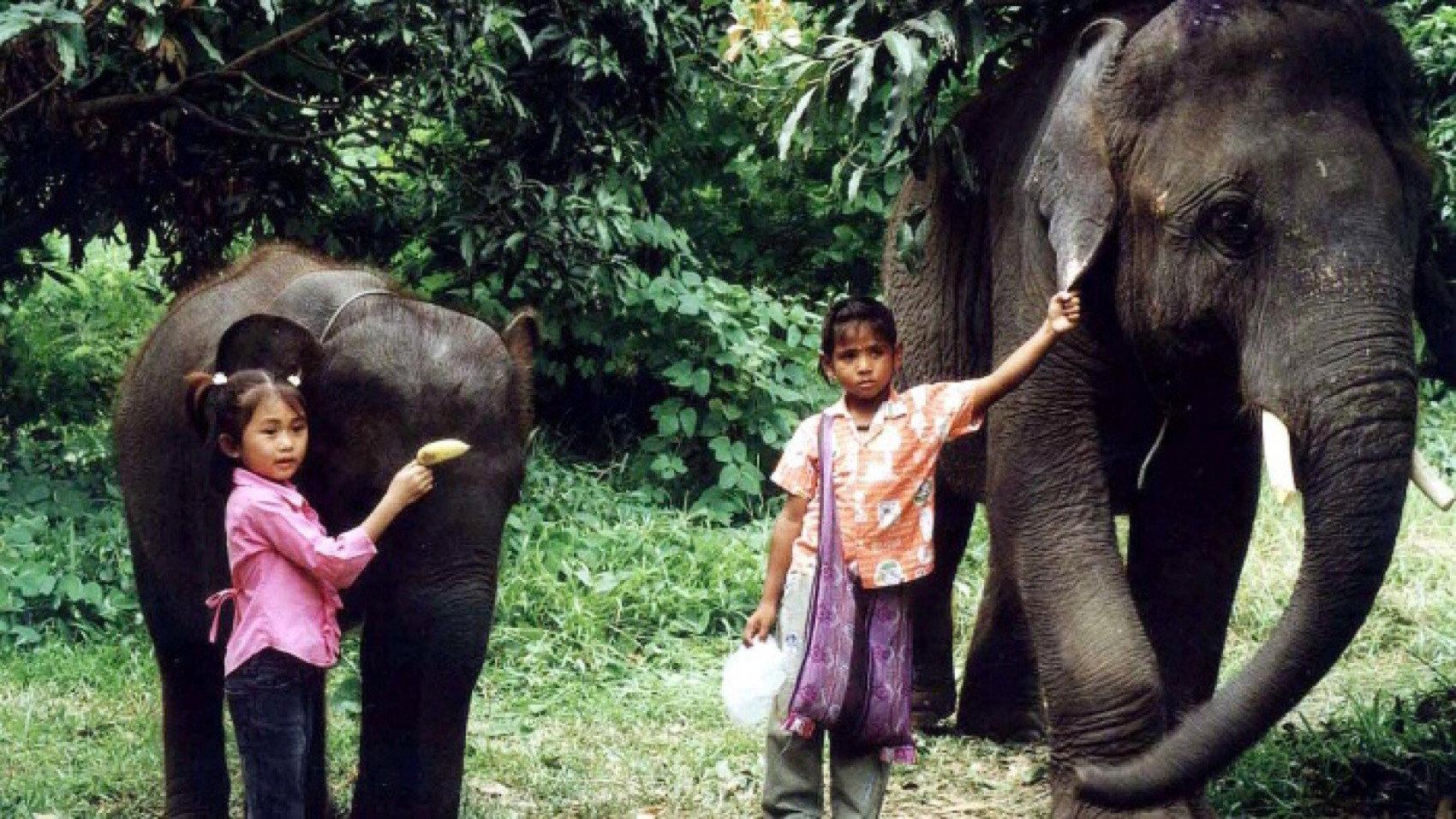 The Elephant Boy 2003 movie scene
