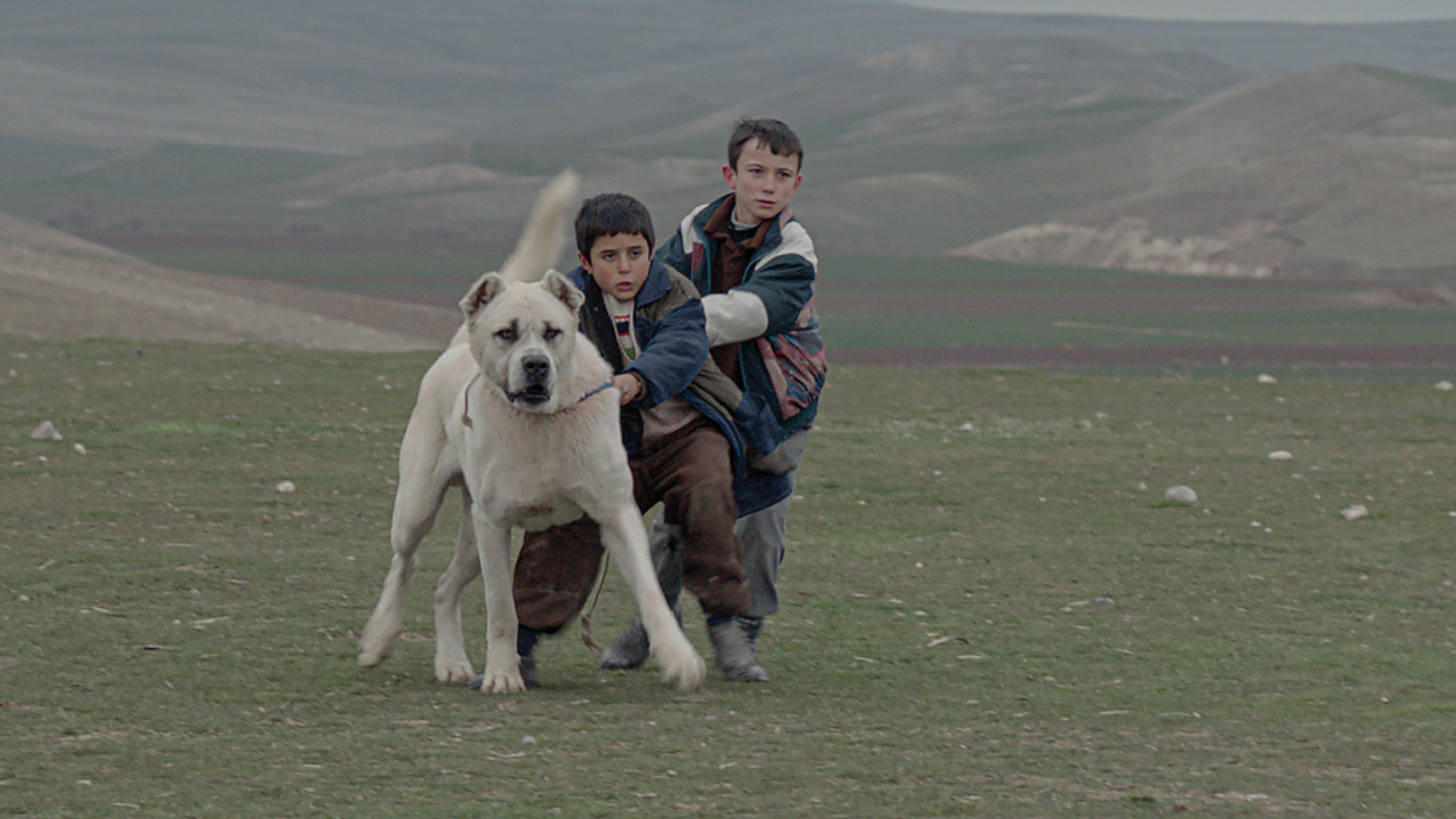 Sivas 2014 movie scene