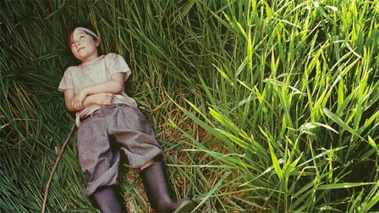 A River in the Woods 2011 movie scene