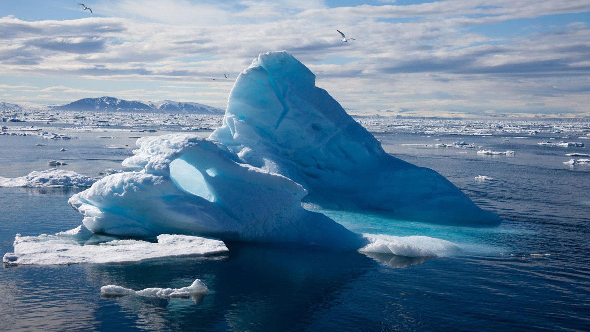 To the Arctic 3D 2012 movie scene