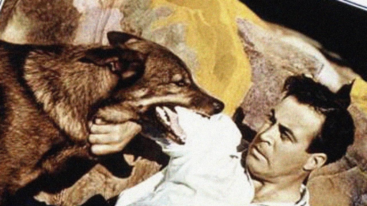Topa Topa 1938 movie scene