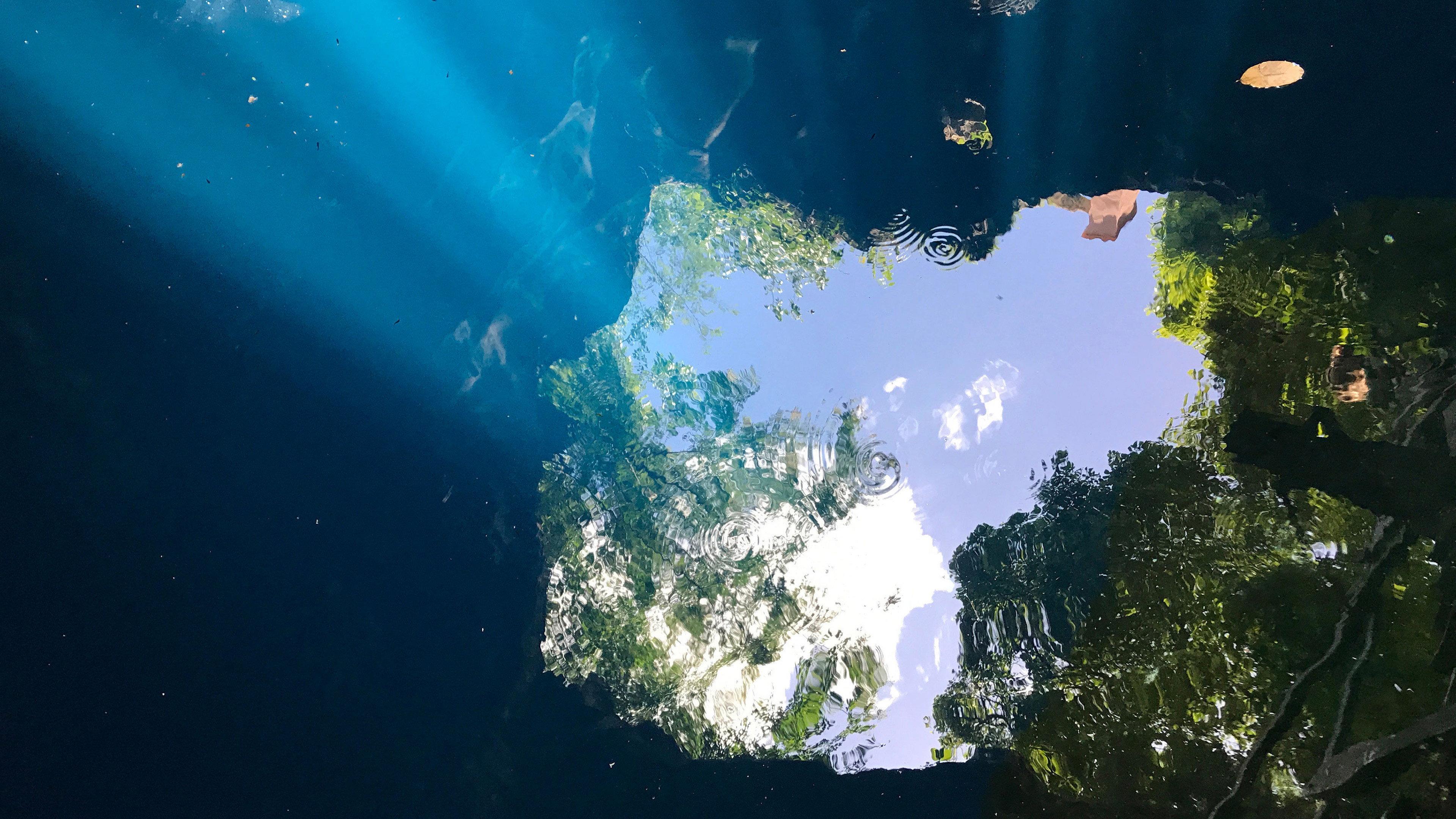 Cenote 2020 movie scene