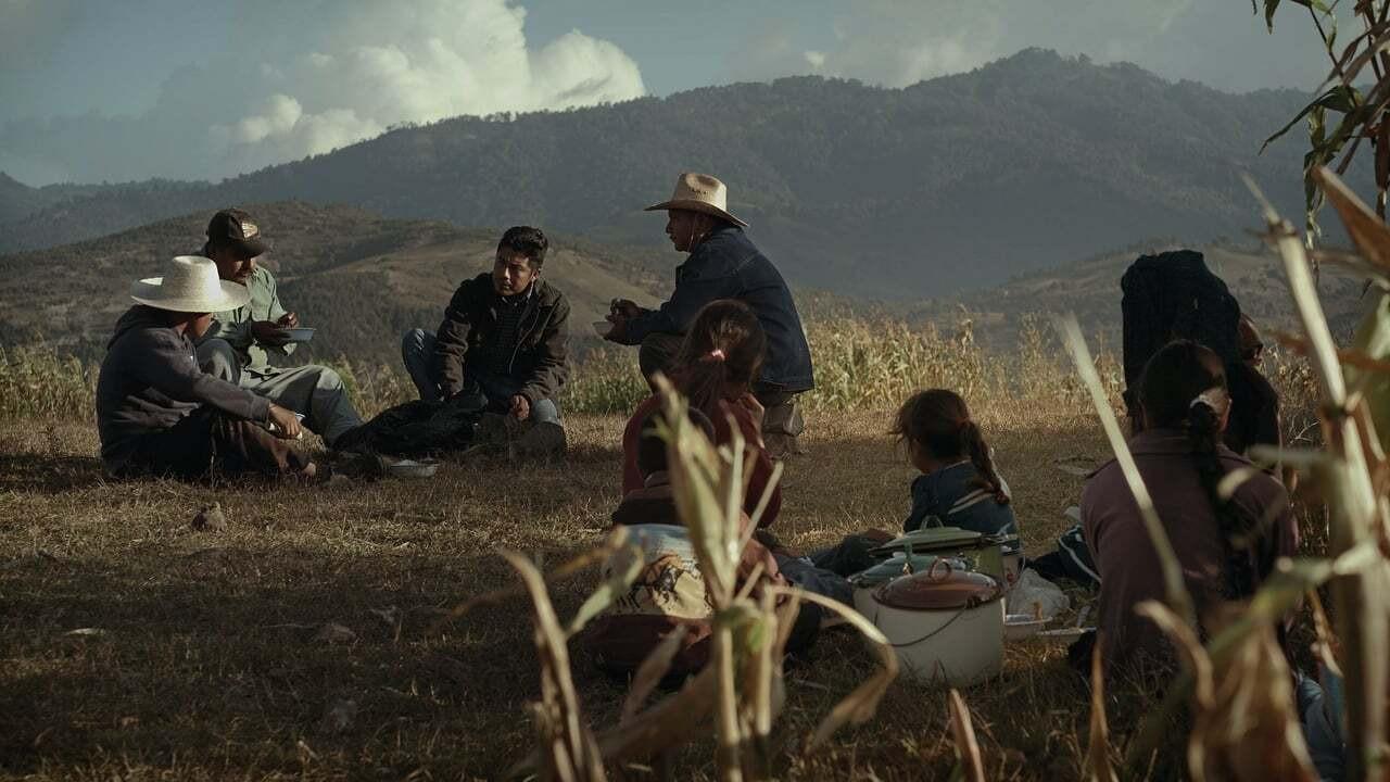 Here and There 2012 movie scene