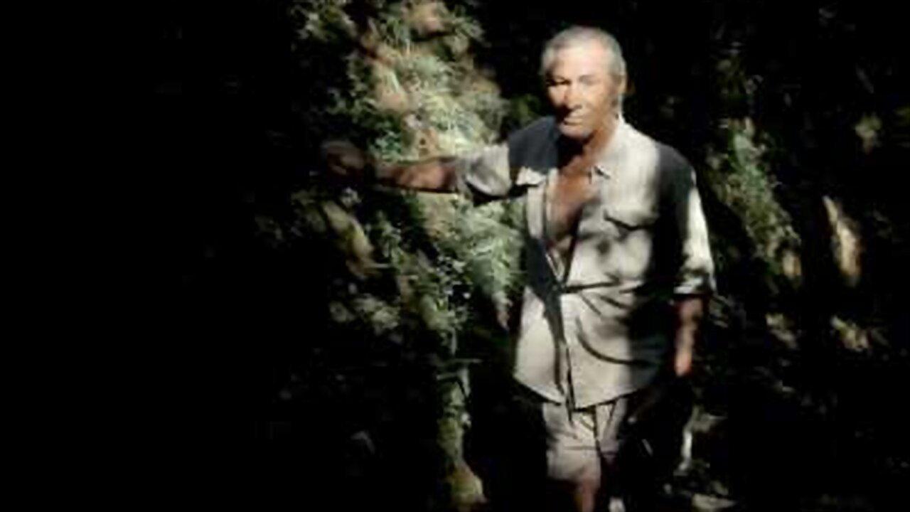 La siesta del tigre 2016 movie scene