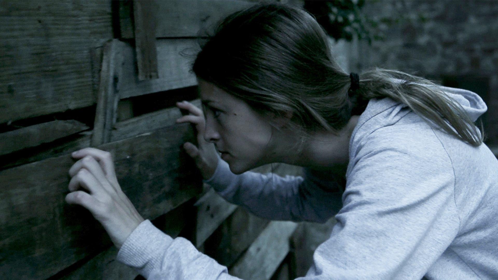 The Silent House 2010 movie scene