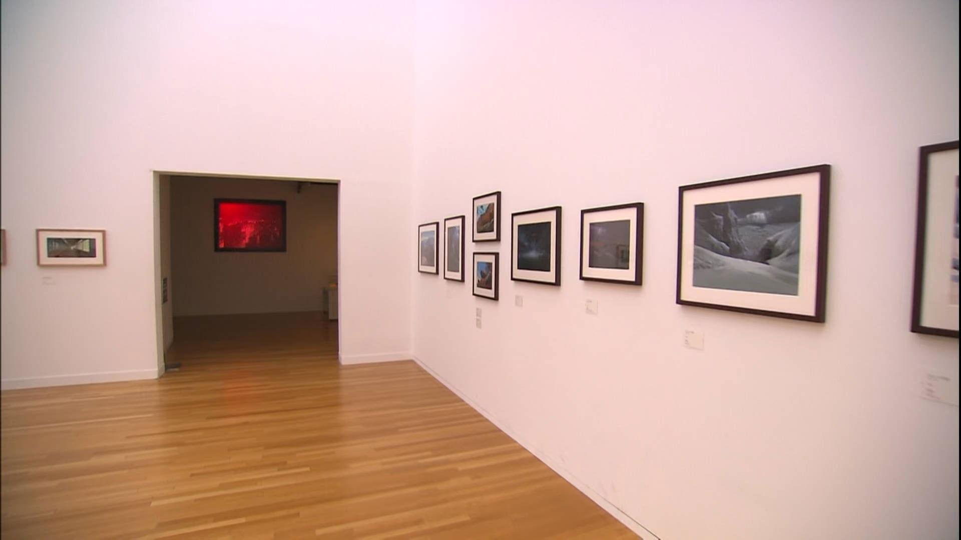 A Ghibli Artisan - Kazuo Oga Exhibition - The One Who Drew Totoro's Forest 2007 movie scene