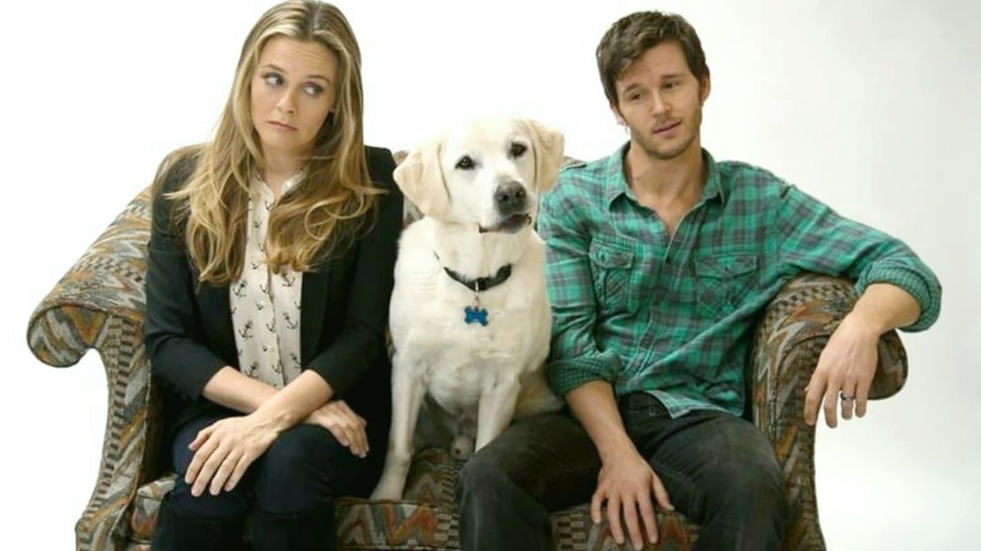 Who Gets the Dog? 2016 movie scene