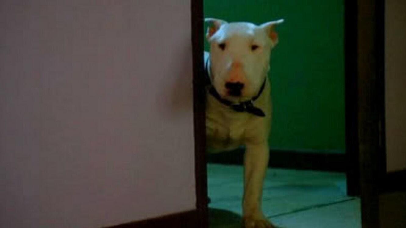 Baxter 1989 movie scene