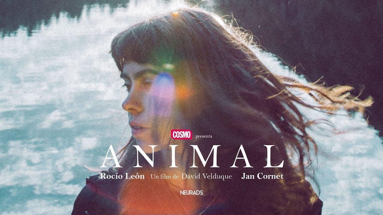 Animal 2019 movie scene