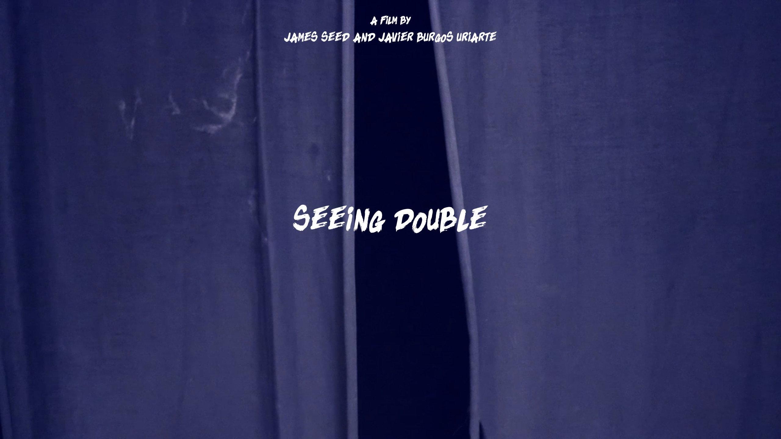 Seeing Double 2020 movie scene