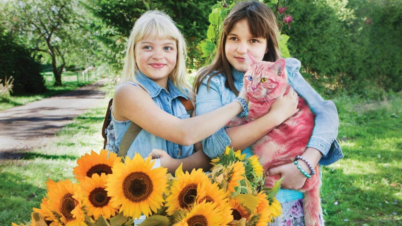 Jill, Joy and the Mysterious Stranger 2017 movie scene