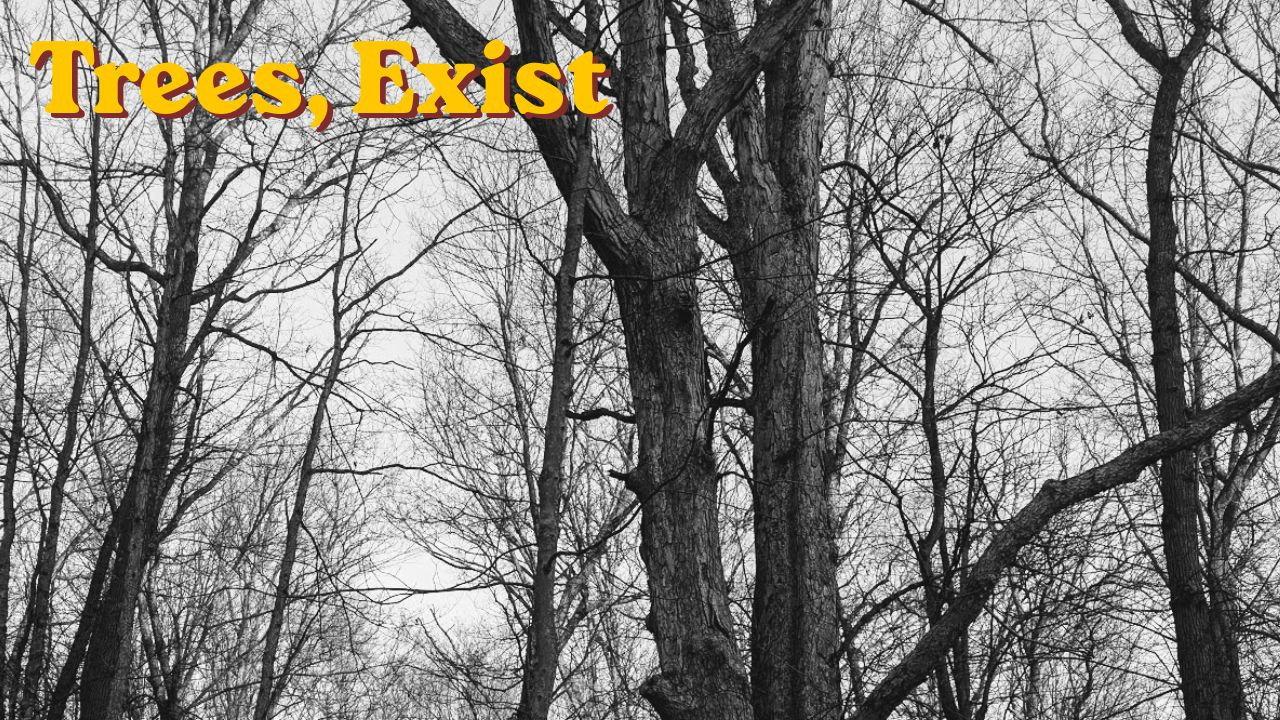 Trees, exist 2026 movie scene