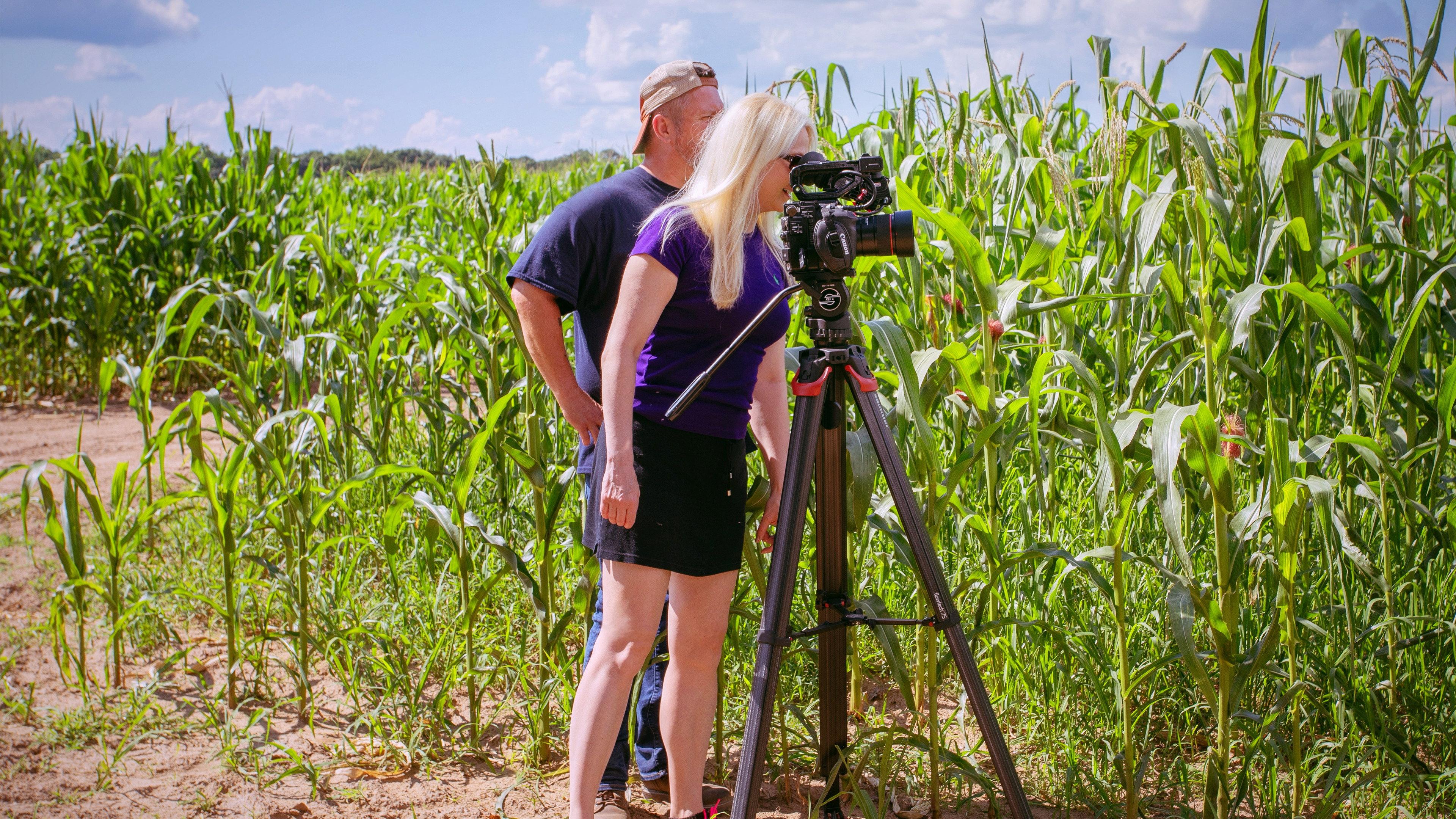 Fields of Gold 2023 movie scene