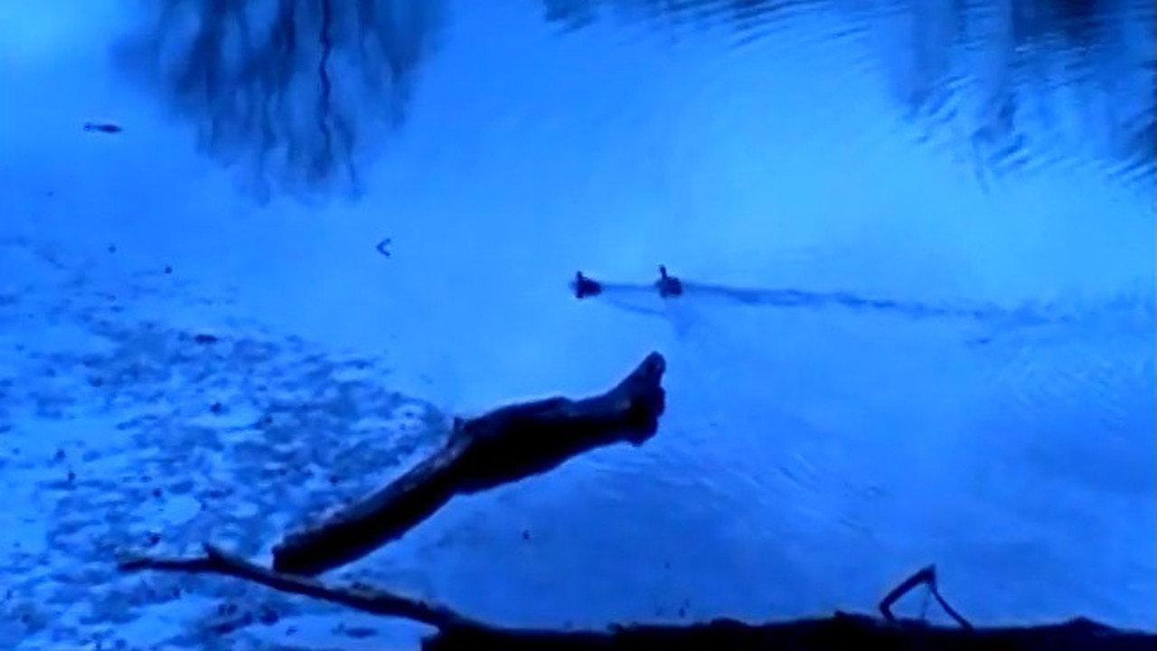 PHASE V 2024 movie scene