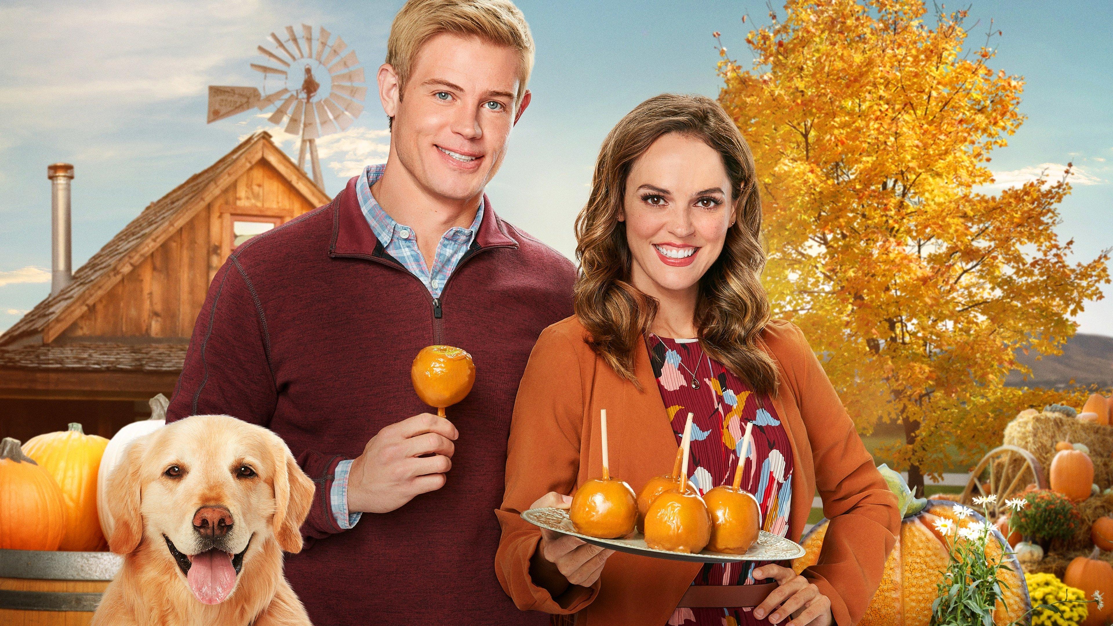 Love, Fall & Order 2019 movie scene