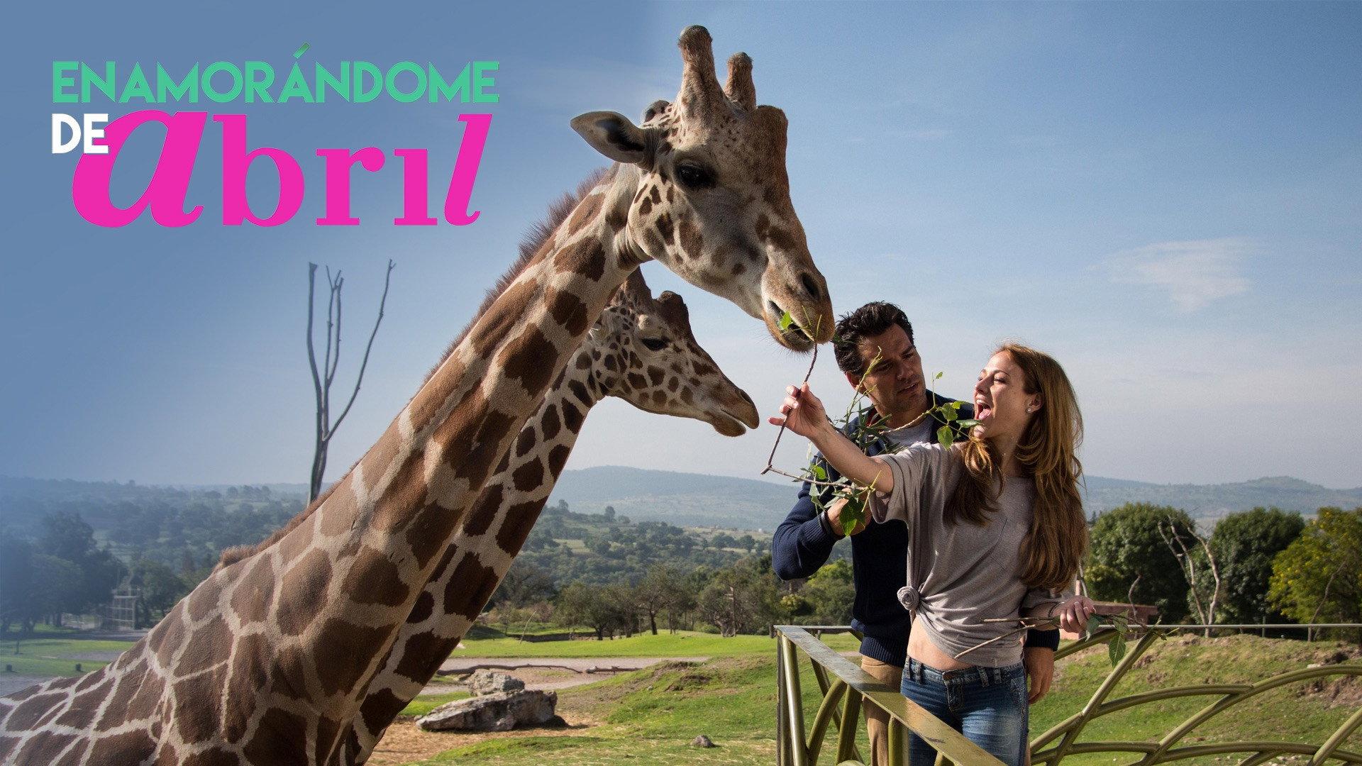 Falling in Love with April 2015 movie scene