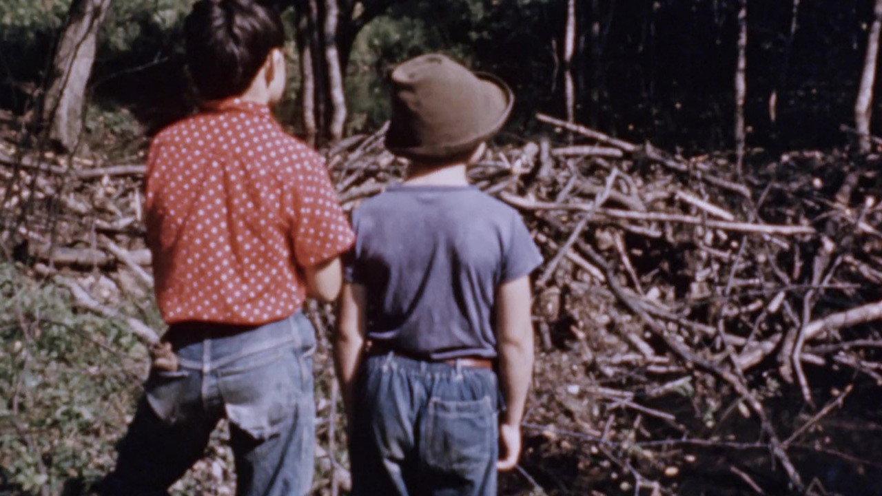 Beaver Dam 1960 movie scene