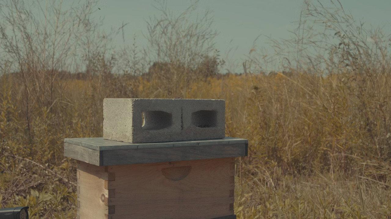 Sancho 2025 movie scene