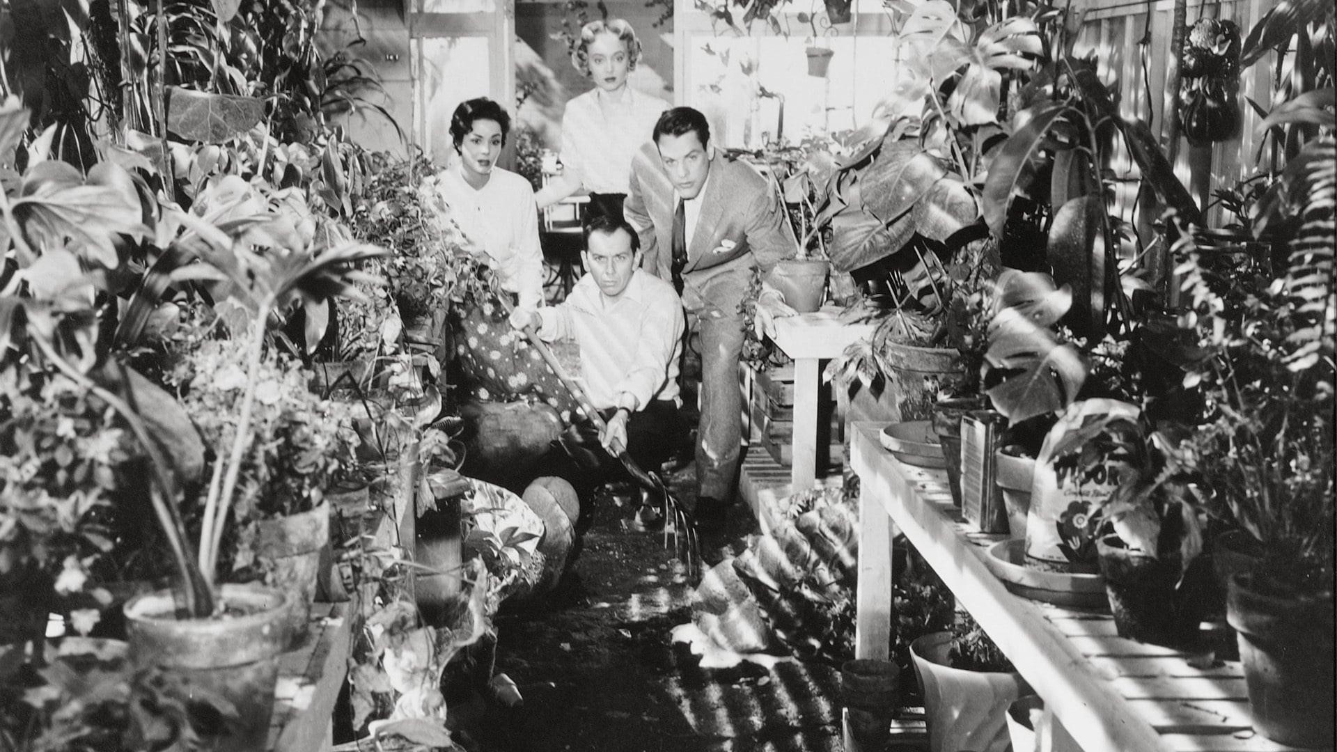 Invasion of the Body Snatchers 1956 movie scene
