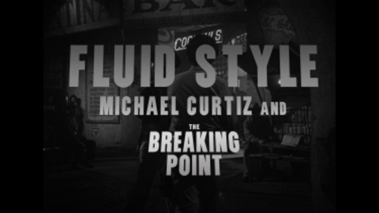 Fluid Style: Michael Curtiz and The Breaking Point 2017 movie scene