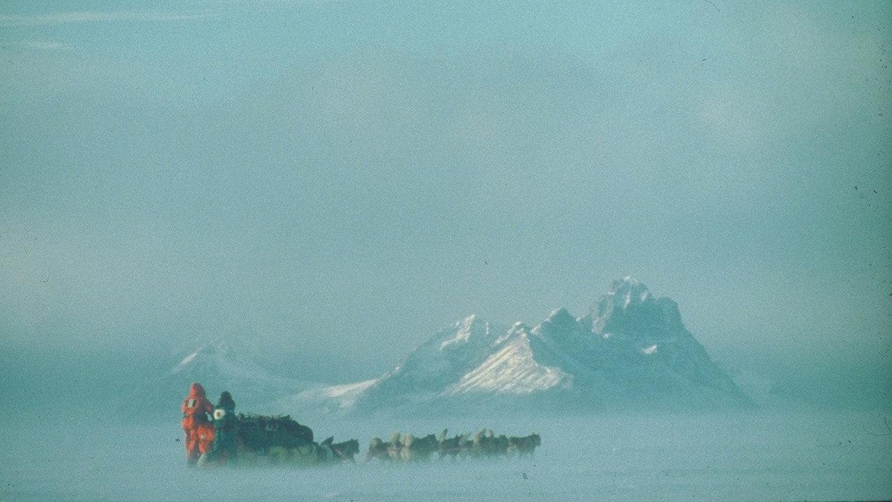 Au Sud du Sud 1992 movie scene