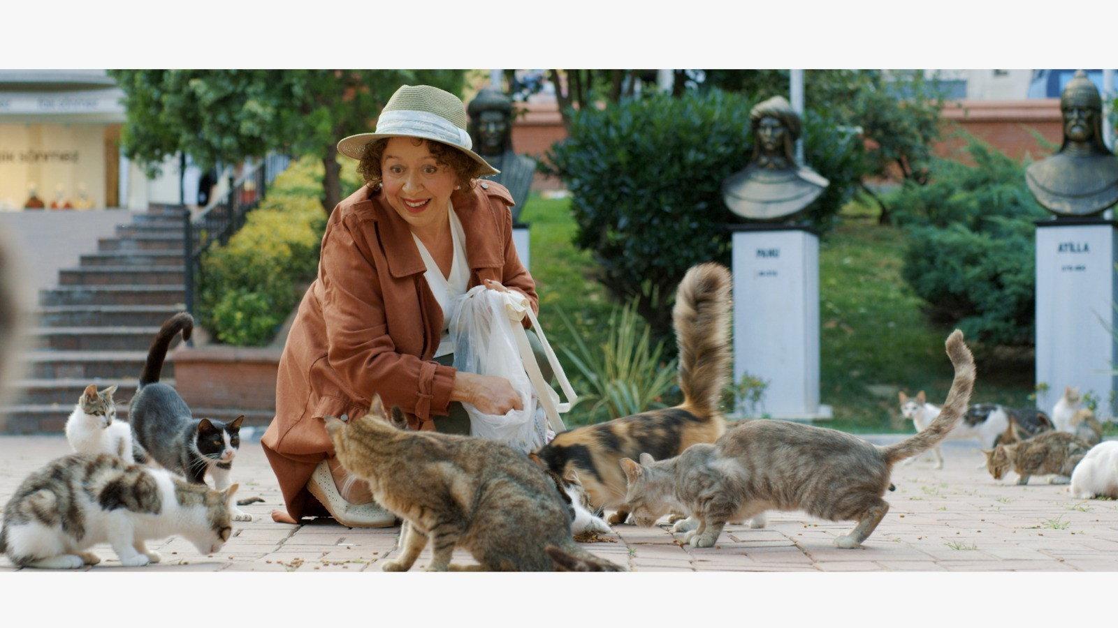 Some Cats of the Neighborhood 2019 movie scene
