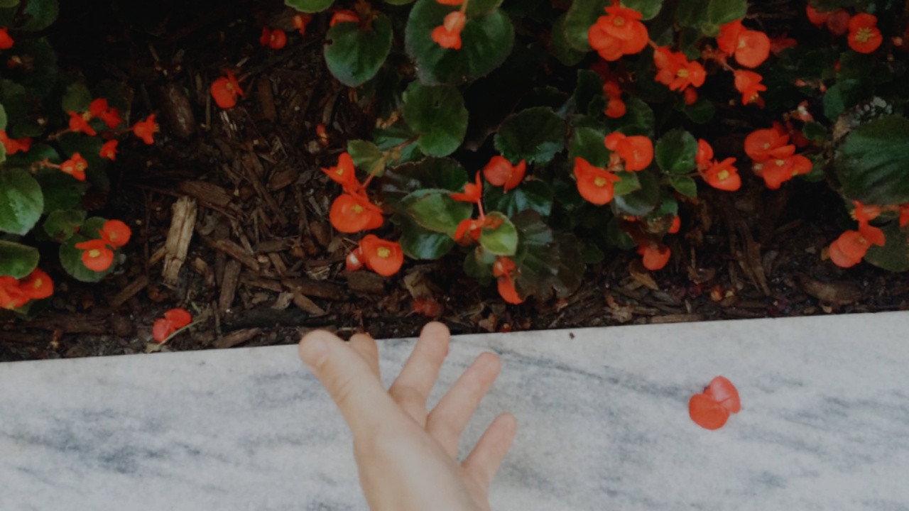 AURORA: Nothing Is Eternal 2016 movie scene