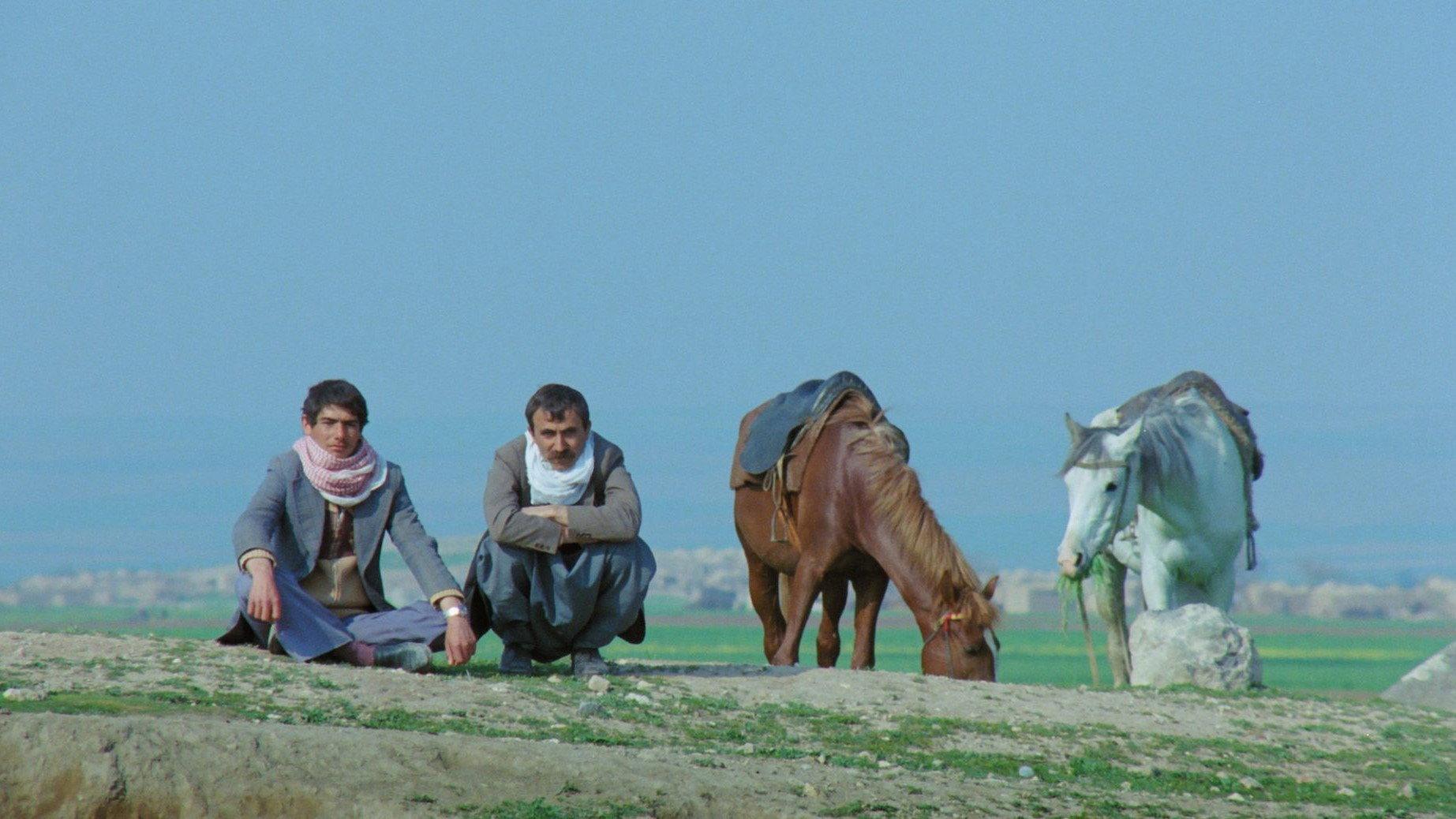 The Road 1982 movie scene