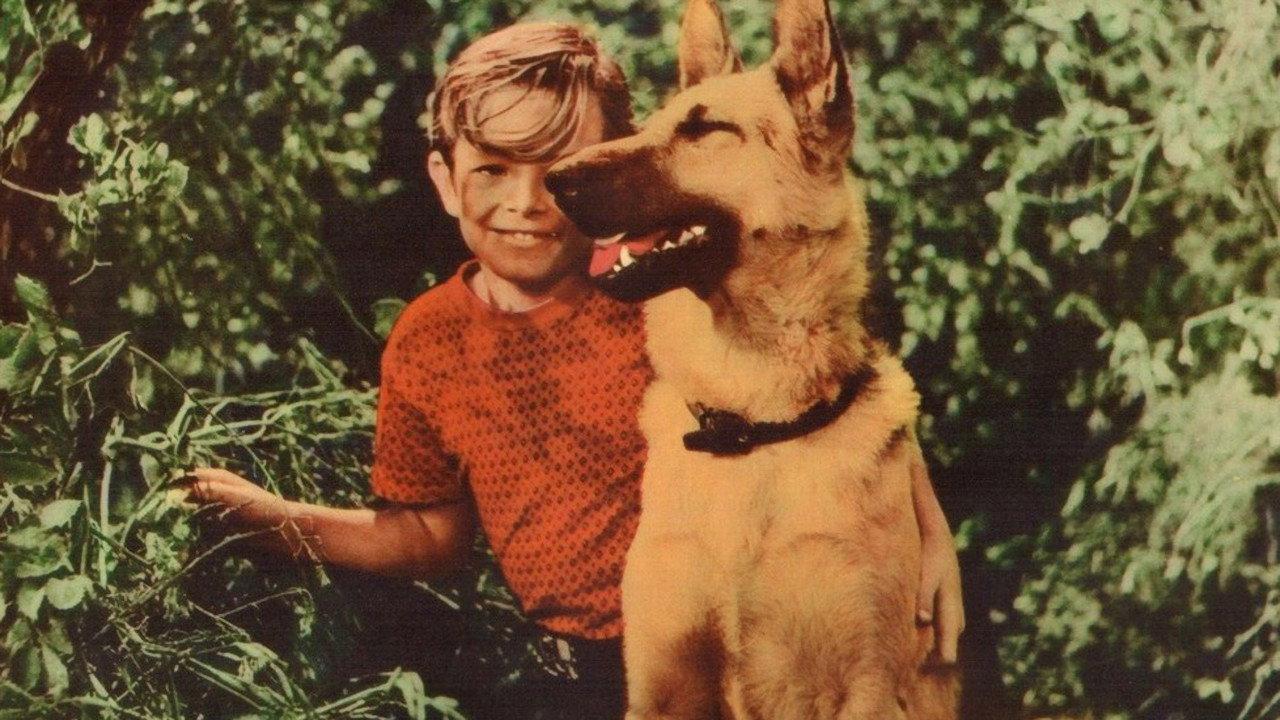 A Dog's Best Friend 1959 movie scene