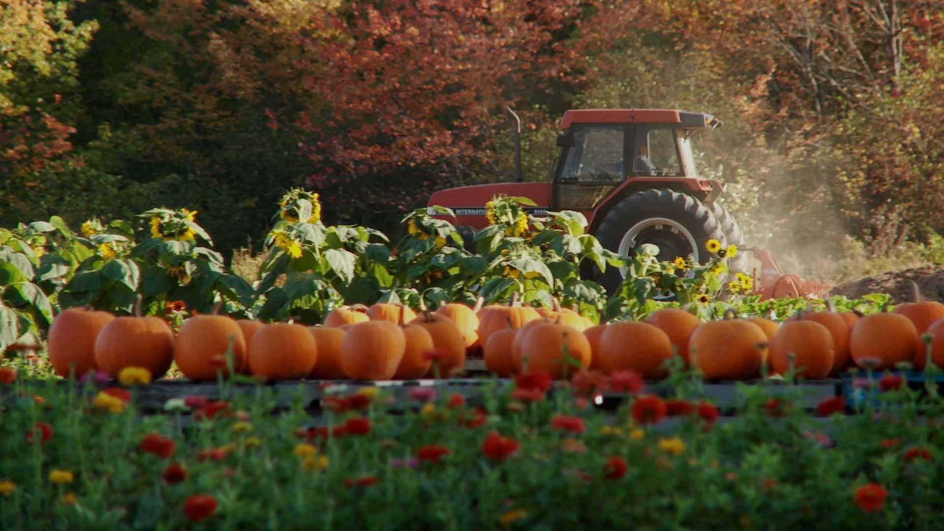 Farmageddon 2011 movie scene