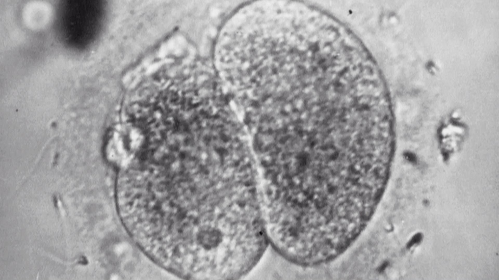 Test Tube Babies 2006 movie scene
