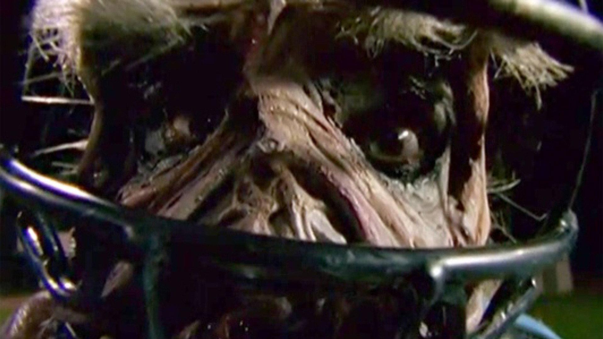 Goosebumps: Chillogy 1998 movie scene