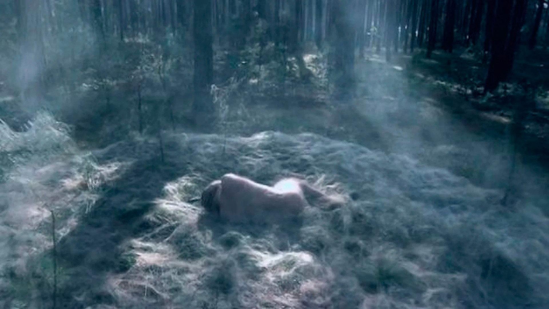 Extraterrestrial 2007 movie scene