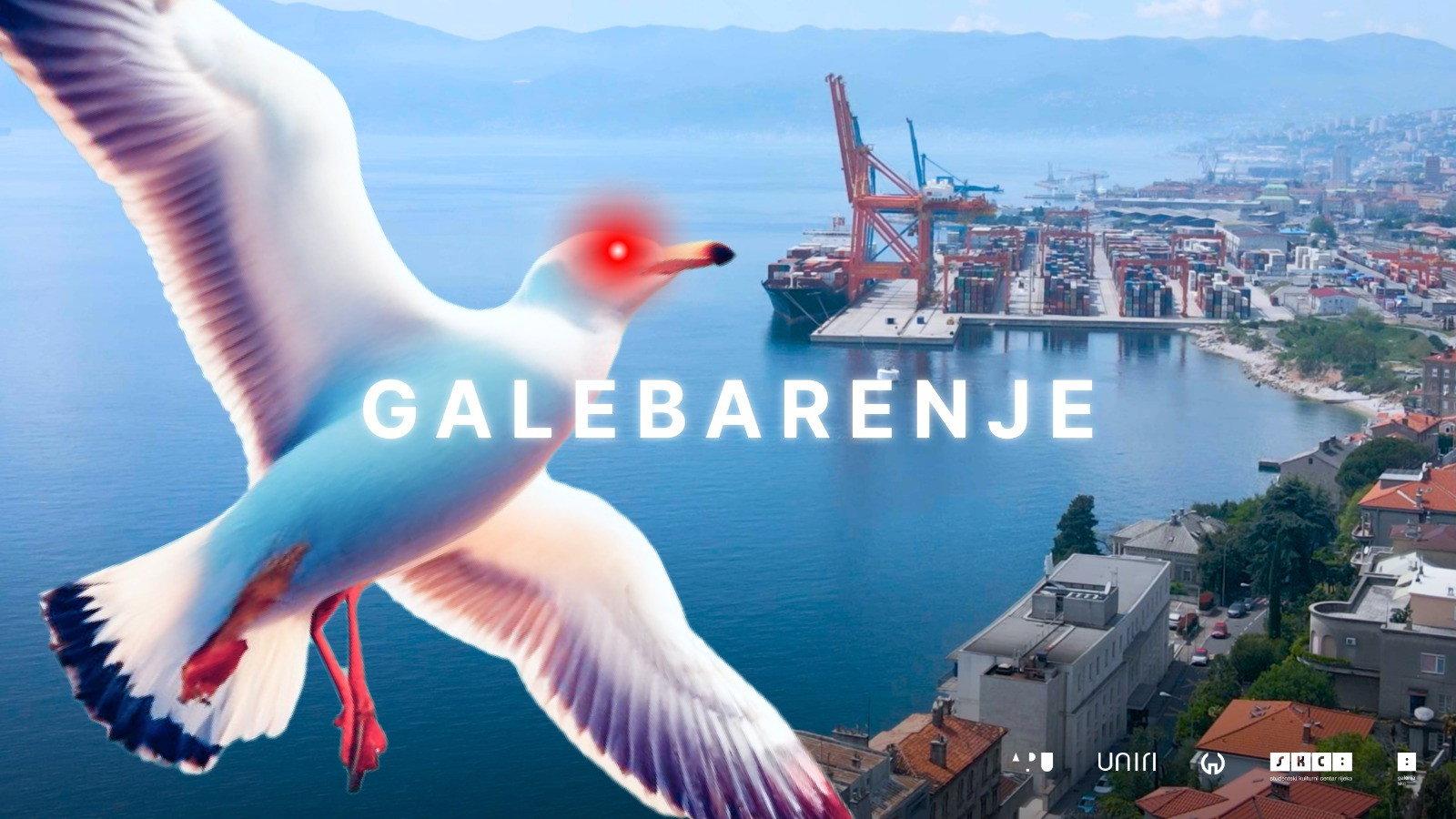 Seagulling 2023 movie scene