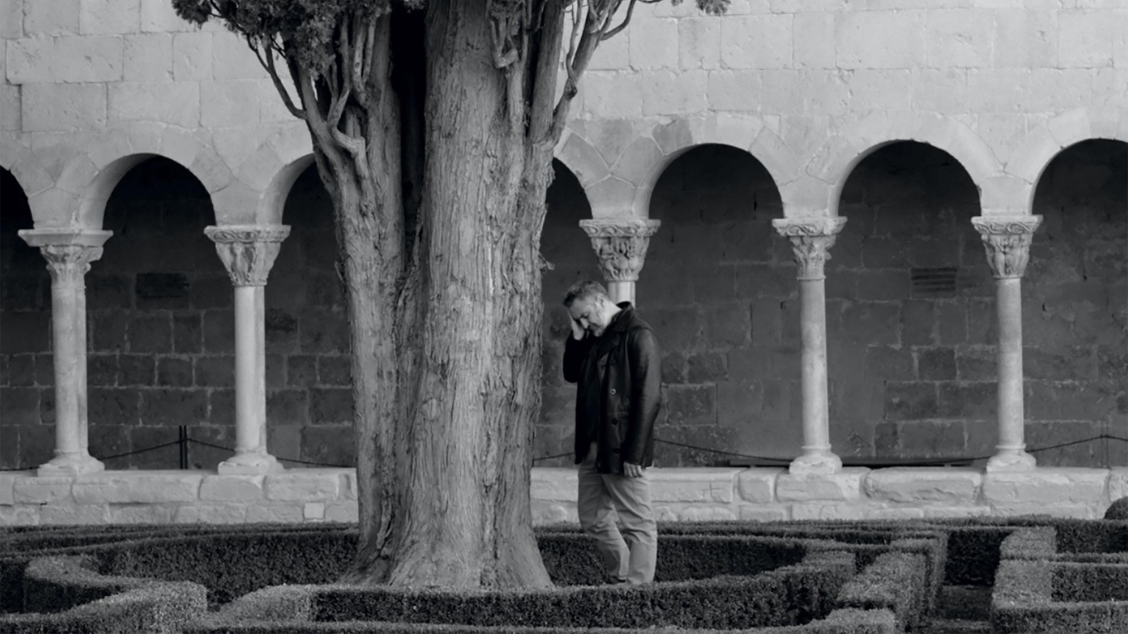 The Last Wish 2024 movie scene