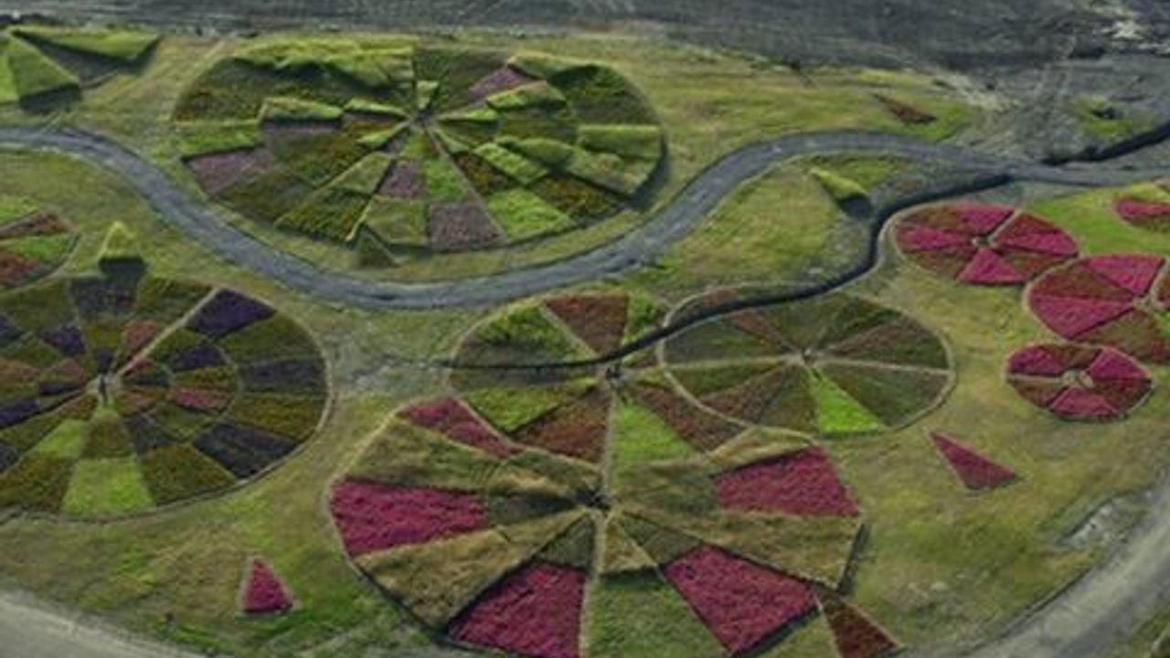 A Margem da Paisagem 2013 movie scene