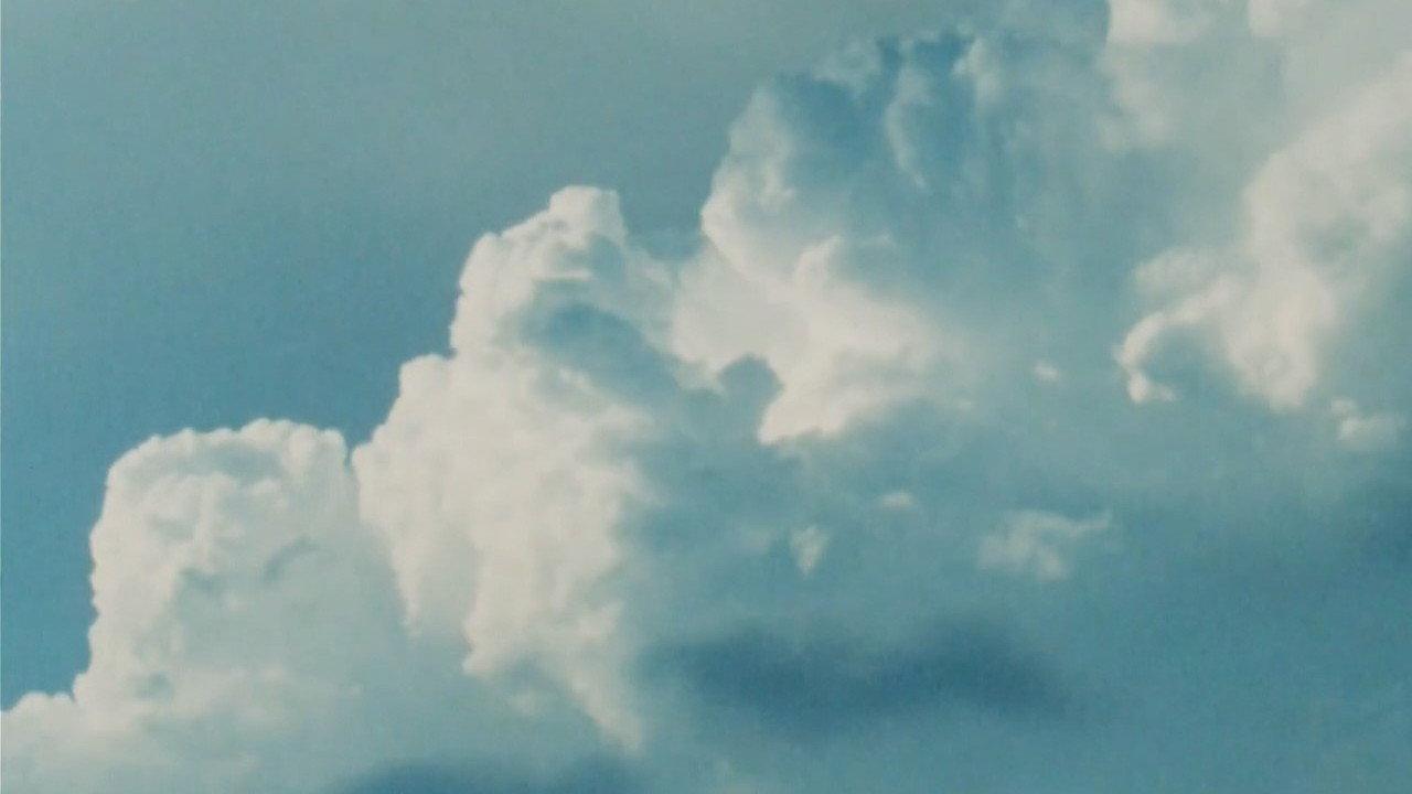 Petrichor 2017 movie scene