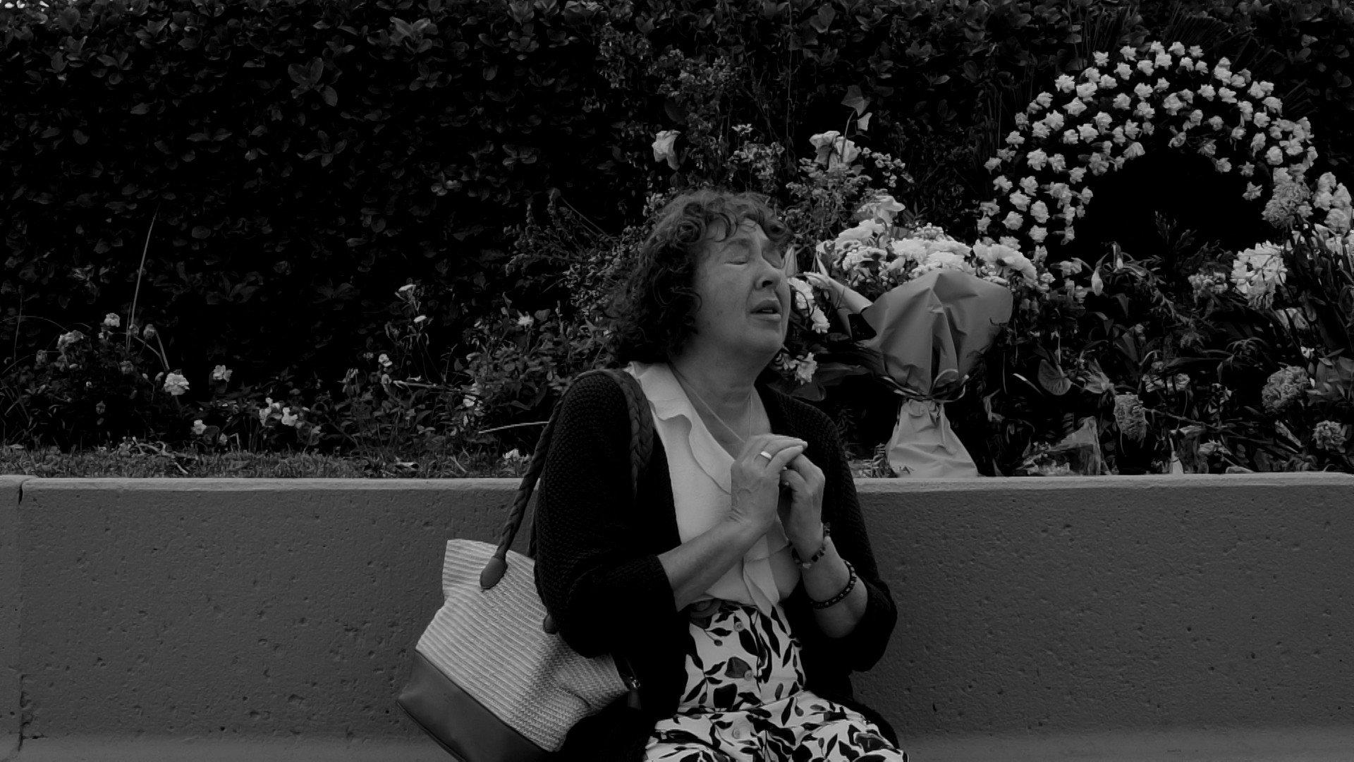 Catenaria 2026 movie scene