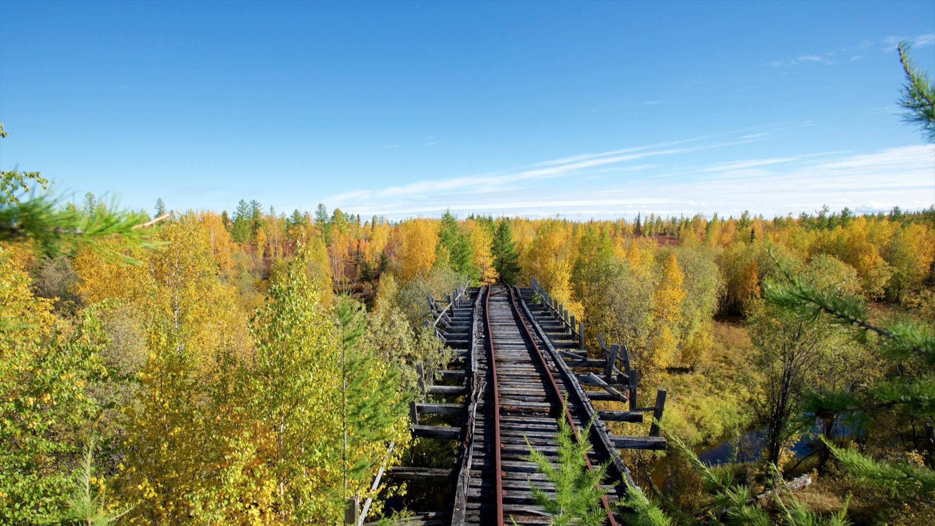 A Journey to the Gulag 2019 movie scene