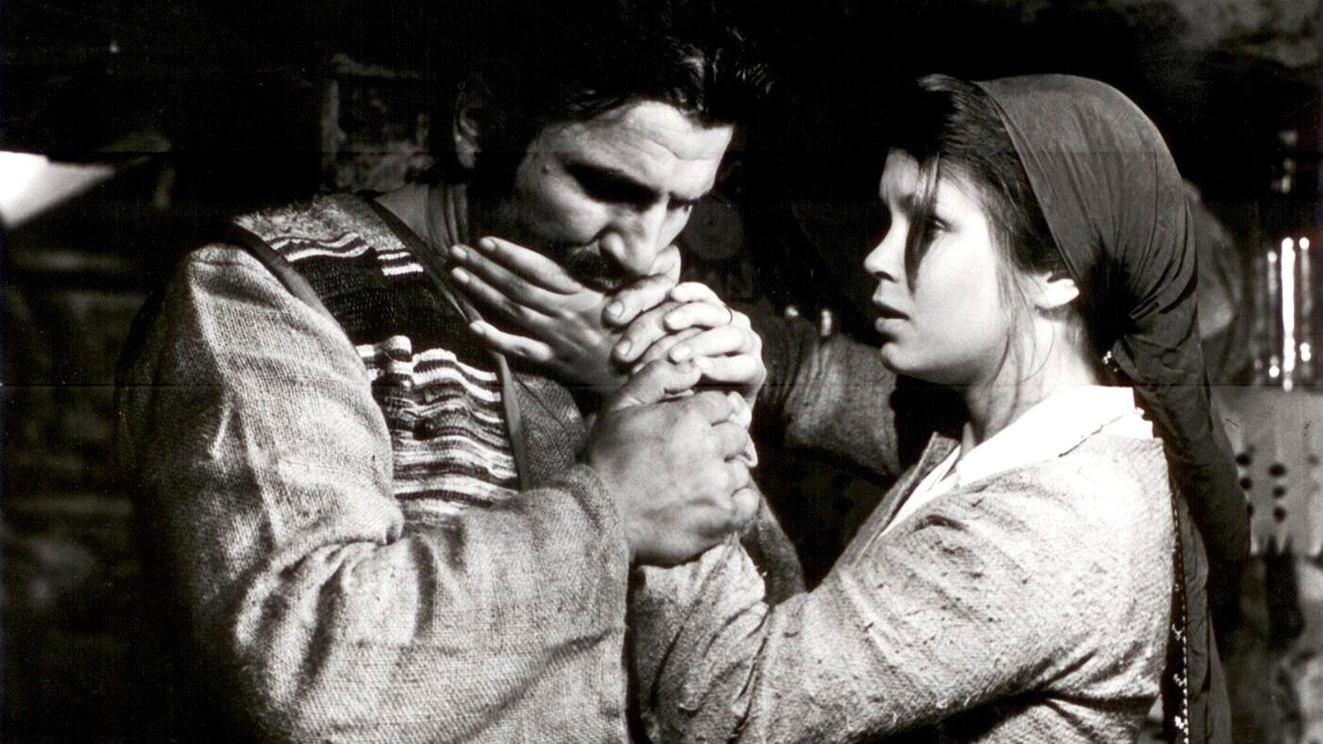 We're Cursed, Irina 1973 movie scene