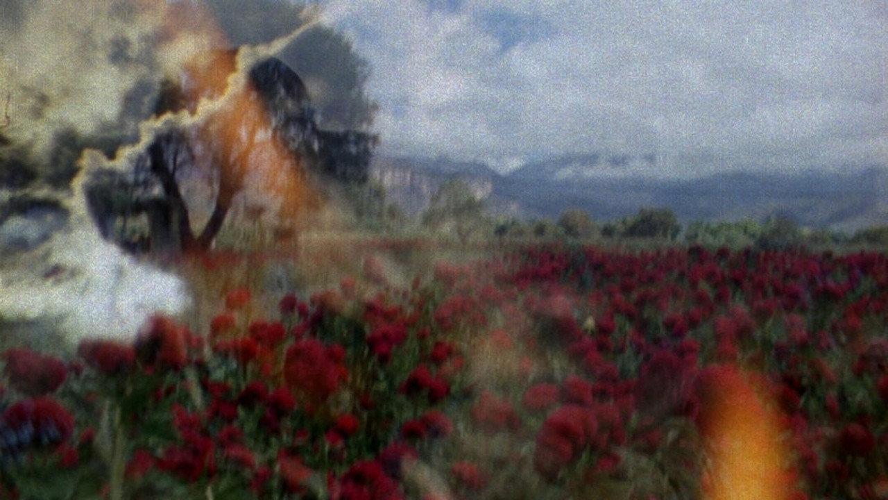 The Sun Quartet 2017 movie scene