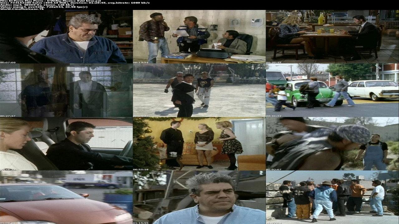 El Perro Mas Perro 2003 movie scene